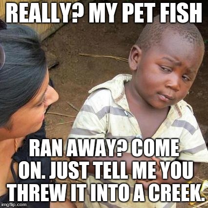 Third World Skeptical Kid | REALLY? MY PET FISH; RAN AWAY? COME ON. JUST TELL ME YOU THREW IT INTO A CREEK. | image tagged in memes,third world skeptical kid | made w/ Imgflip meme maker