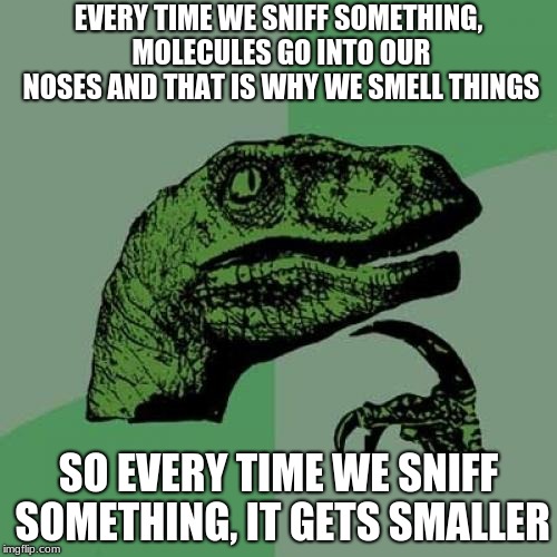 Philosoraptor Meme | EVERY TIME WE SNIFF SOMETHING, MOLECULES GO INTO OUR NOSES AND THAT IS WHY WE SMELL THINGS; SO EVERY TIME WE SNIFF SOMETHING, IT GETS SMALLER | image tagged in memes,philosoraptor | made w/ Imgflip meme maker