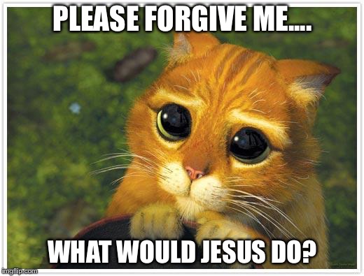 Shrek Cat | PLEASE FORGIVE ME.... WHAT WOULD JESUS DO? | image tagged in memes,shrek cat | made w/ Imgflip meme maker