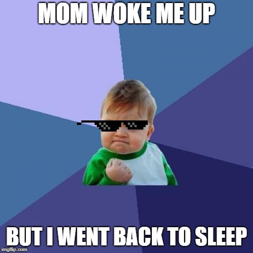 Success Kid | MOM WOKE ME UP; BUT I WENT BACK TO SLEEP | image tagged in memes,success kid | made w/ Imgflip meme maker