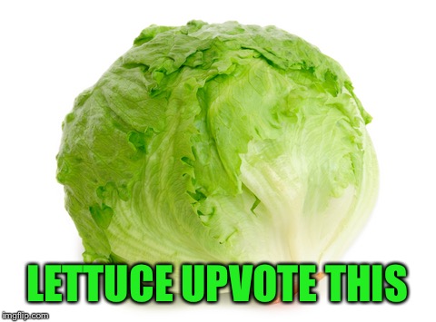 Lettuce  | LETTUCE UPVOTE THIS | image tagged in lettuce | made w/ Imgflip meme maker