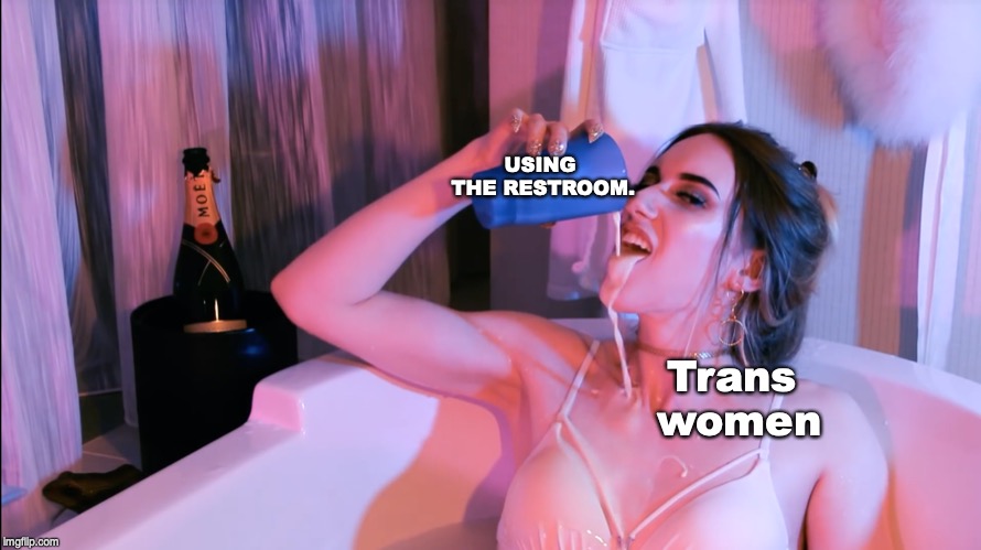 Are you offended? | USING THE RESTROOM. Trans women | image tagged in are you offended | made w/ Imgflip meme maker