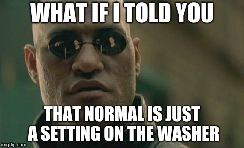 Matrix Morpheus | WHAT IF I TOLD YOU; THAT NORMAL IS JUST A SETTING ON THE WASHER | image tagged in memes,matrix morpheus | made w/ Imgflip meme maker