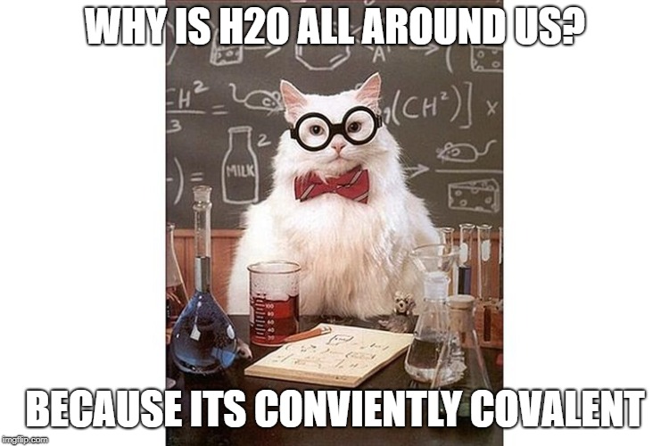 Covalent Bond Meme | WHY IS H20 ALL AROUND US? BECAUSE ITS CONVIENTLY COVALENT | image tagged in chemical cat | made w/ Imgflip meme maker