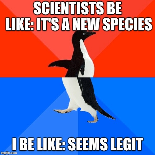 Socially Awesome Awkward Penguin | SCIENTISTS BE LIKE: IT'S A NEW SPECIES; I BE LIKE: SEEMS LEGIT | image tagged in memes,socially awesome awkward penguin | made w/ Imgflip meme maker