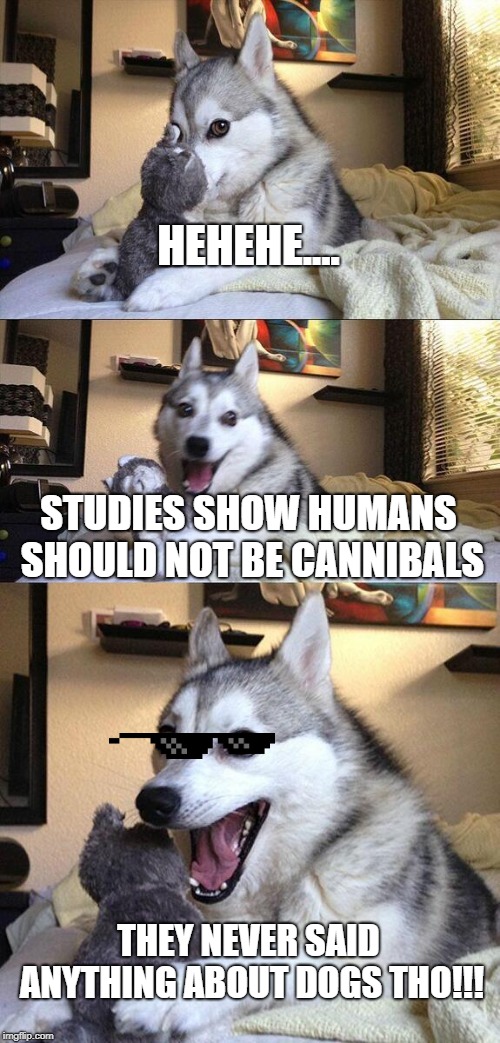 Bad Pun Dog Meme | HEHEHE.... STUDIES SHOW HUMANS SHOULD NOT BE CANNIBALS; THEY NEVER SAID ANYTHING ABOUT DOGS THO!!! | image tagged in memes,bad pun dog | made w/ Imgflip meme maker