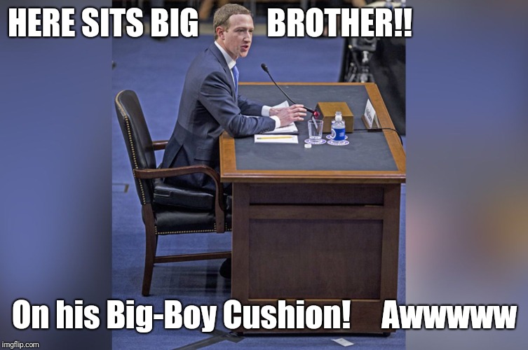 HERE SITS BIG           BROTHER!! On his Big-Boy Cushion! 
   Awwwww | image tagged in zuckerberg cushion congress | made w/ Imgflip meme maker