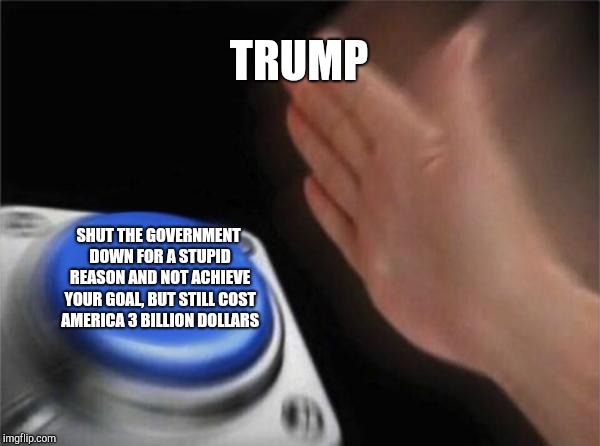 Blank Nut Button | TRUMP; SHUT THE GOVERNMENT DOWN FOR A STUPID REASON AND NOT ACHIEVE YOUR GOAL, BUT STILL COST AMERICA 3 BILLION DOLLARS | image tagged in memes,blank nut button | made w/ Imgflip meme maker