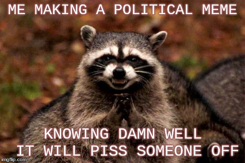 Evil Plotting Raccoon Meme | ME MAKING A POLITICAL MEME; KNOWING DAMN WELL IT WILL PISS SOMEONE OFF | image tagged in memes,evil plotting raccoon | made w/ Imgflip meme maker