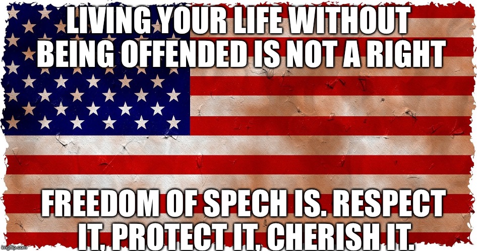 LIVING YOUR LIFE WITHOUT BEING OFFENDED IS NOT A RIGHT; FREEDOM OF SPECH IS. RESPECT IT, PROTECT IT, CHERISH IT. | image tagged in american,flag,united states,freedom,speech,rights | made w/ Imgflip meme maker