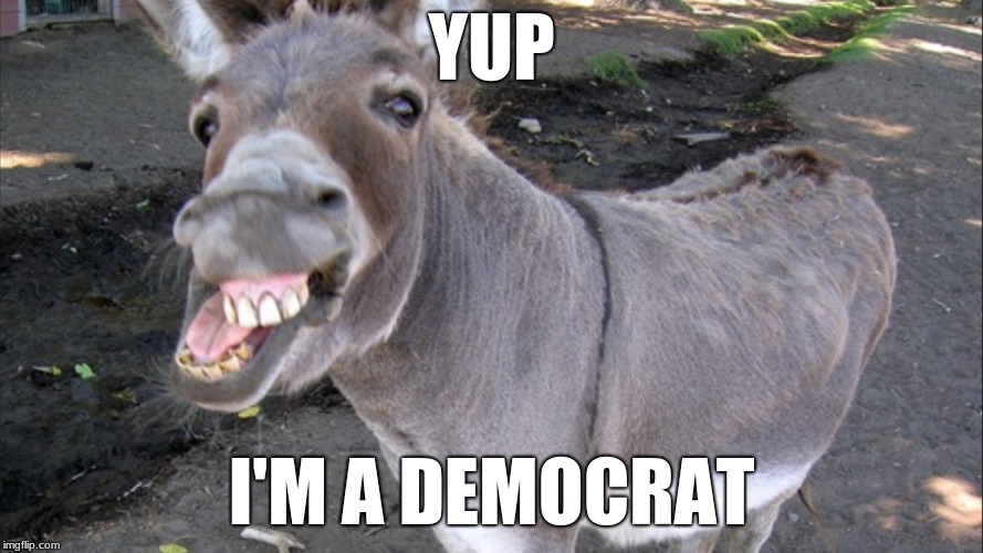 I'm a Democrat | YUP; I'M A DEMOCRAT | image tagged in donkey | made w/ Imgflip meme maker