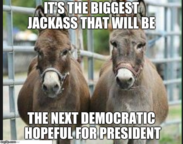 Jackass Presidential Hopeful | IT'S THE BIGGEST JACKASS THAT WILL BE; THE NEXT DEMOCRATIC HOPEFUL FOR PRESIDENT | image tagged in donkey | made w/ Imgflip meme maker