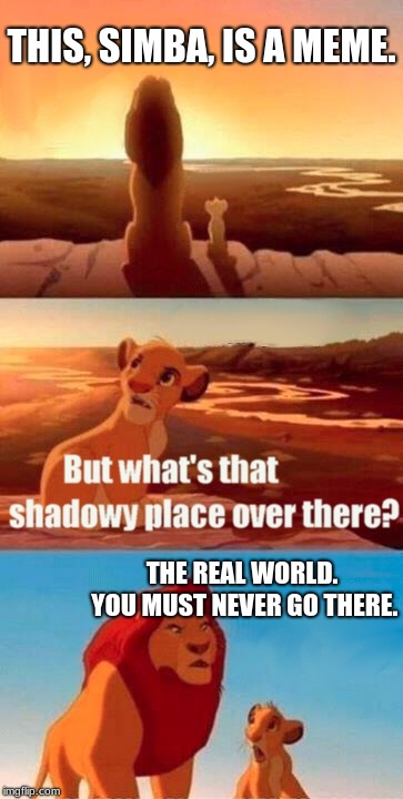 Simba Shadowy Place Meme | THIS, SIMBA, IS A MEME. THE REAL WORLD. YOU MUST NEVER GO THERE. | image tagged in memes,simba shadowy place | made w/ Imgflip meme maker