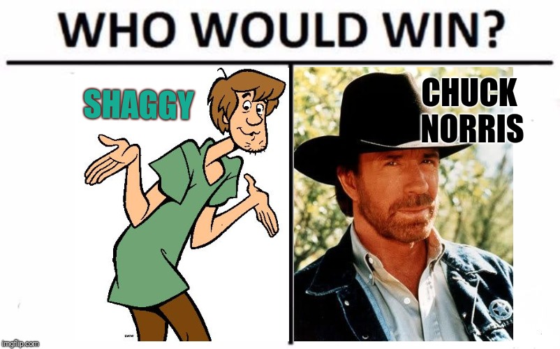 Been seeing a lot of Shaggy memes... |  SHAGGY; CHUCK NORRIS | image tagged in memes,who would win,shaggy from scooby doo,chuck norris | made w/ Imgflip meme maker