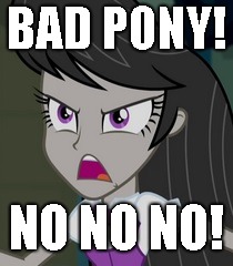 BAD PONY! NO NO NO! | made w/ Imgflip meme maker