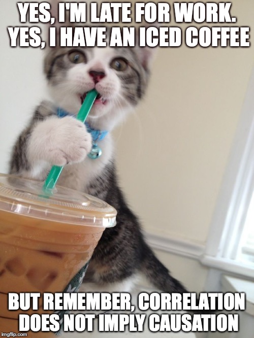 kitten with starbucks iced latte | YES, I'M LATE FOR WORK. YES, I HAVE AN ICED COFFEE; BUT REMEMBER, CORRELATION DOES NOT IMPLY CAUSATION | image tagged in kitten with starbucks iced latte | made w/ Imgflip meme maker