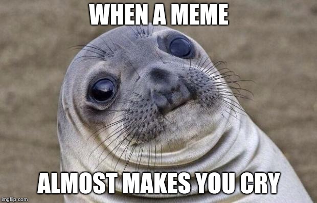 Awkward Moment Sealion Meme | WHEN A MEME ALMOST MAKES YOU CRY | image tagged in memes,awkward moment sealion | made w/ Imgflip meme maker