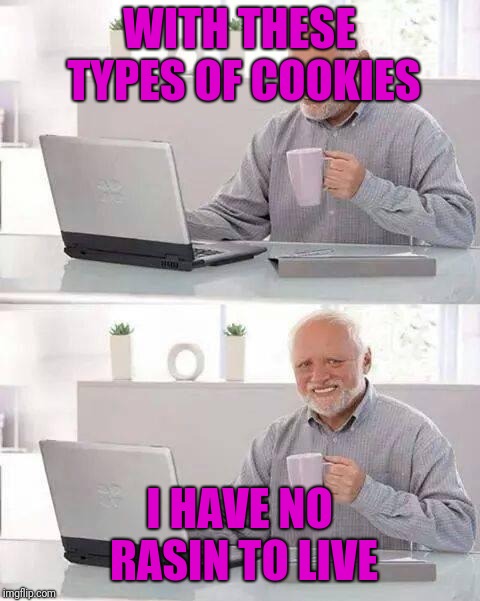 Hide the Pain Harold Meme | WITH THESE TYPES OF COOKIES I HAVE NO RASIN TO LIVE | image tagged in memes,hide the pain harold | made w/ Imgflip meme maker