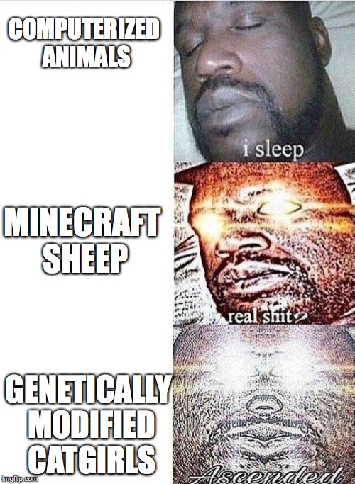 i sleep, REAL SHIT ,ASCENDED | COMPUTERIZED ANIMALS GENETICALLY MODIFIED CATGIRLS MINECRAFT SHEEP | image tagged in i sleep real shit ascended | made w/ Imgflip meme maker