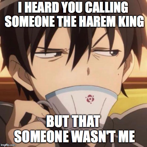 Kirito stare | I HEARD YOU CALLING SOMEONE THE HAREM KING BUT THAT SOMEONE WASN'T ME | image tagged in kirito stare | made w/ Imgflip meme maker