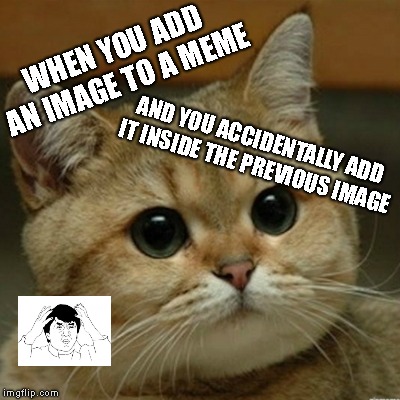 Why can't you just delete it ? | WHEN YOU ADD AN IMAGE TO A MEME; AND YOU ACCIDENTALLY ADD IT INSIDE THE PREVIOUS IMAGE | image tagged in starecat cropped,delete button,jackie chan,memestakes | made w/ Imgflip meme maker