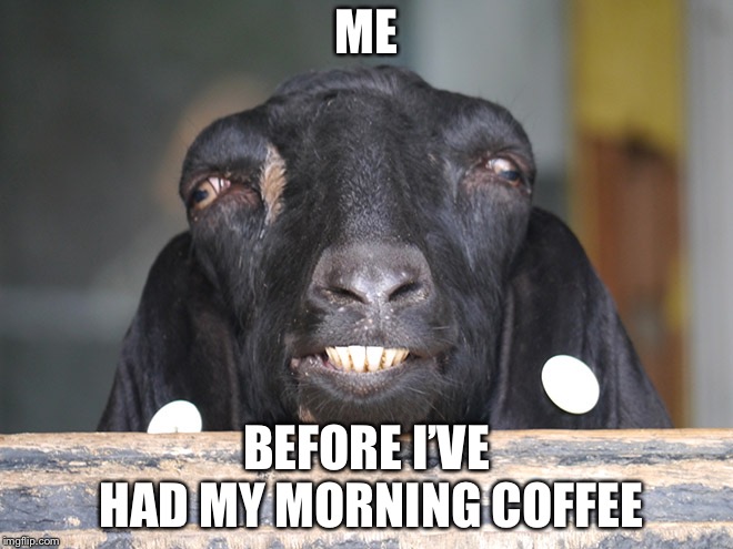 Coffee! | ME; BEFORE I’VE HAD MY MORNING COFFEE | image tagged in funny | made w/ Imgflip meme maker