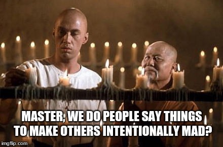 kung fu grasshopper | MASTER, WE DO PEOPLE SAY THINGS TO MAKE OTHERS INTENTIONALLY MAD? | image tagged in kung fu grasshopper | made w/ Imgflip meme maker
