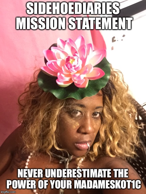 SIDEHOEDIARIES MISSION STATEMENT; NEVER UNDERESTIMATE THE POWER OF YOUR MADAMESKOT1C | made w/ Imgflip meme maker