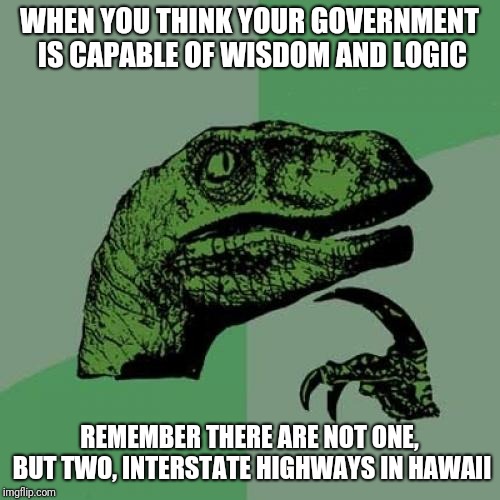 Philosoraptor | WHEN YOU THINK YOUR GOVERNMENT IS CAPABLE OF WISDOM AND LOGIC; REMEMBER THERE ARE NOT ONE, BUT TWO, INTERSTATE HIGHWAYS IN HAWAII | image tagged in memes,philosoraptor | made w/ Imgflip meme maker