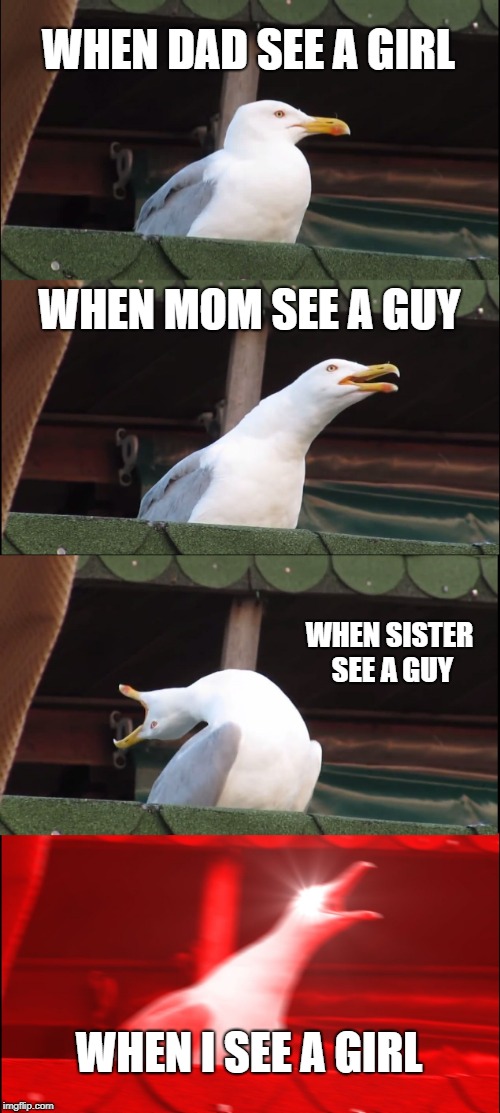 Inhaling Seagull Meme | WHEN DAD SEE A GIRL; WHEN MOM SEE A GUY; WHEN SISTER SEE A GUY; WHEN I SEE A GIRL | image tagged in memes,inhaling seagull | made w/ Imgflip meme maker