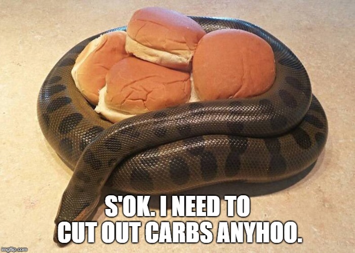 Buns in Snake | S'OK. I NEED TO CUT OUT CARBS ANYHOO. | image tagged in snake,hamburger | made w/ Imgflip meme maker
