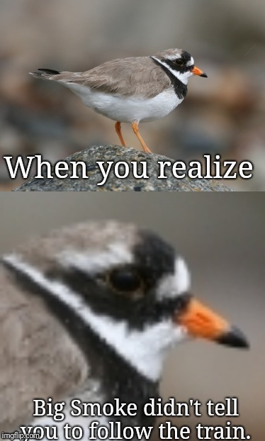 When you suddenly realize Ringed Plover | When you realize Big Smoke didn't tell you to follow the train. | image tagged in when you suddenly realize ringed plover | made w/ Imgflip meme maker
