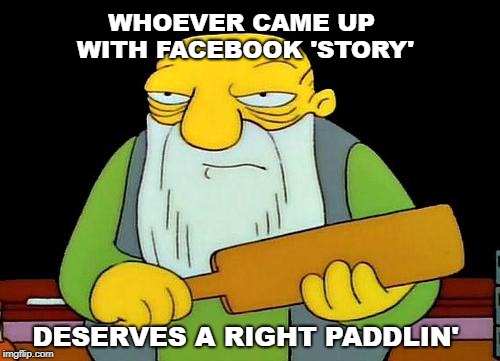 That's a paddlin' | WHOEVER CAME UP WITH FACEBOOK 'STORY'; DESERVES A RIGHT PADDLIN' | image tagged in memes,that's a paddlin' | made w/ Imgflip meme maker