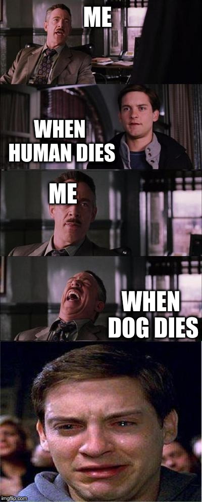 Peter Parker Cry | ME; WHEN HUMAN DIES; ME; WHEN DOG DIES | image tagged in memes,peter parker cry | made w/ Imgflip meme maker