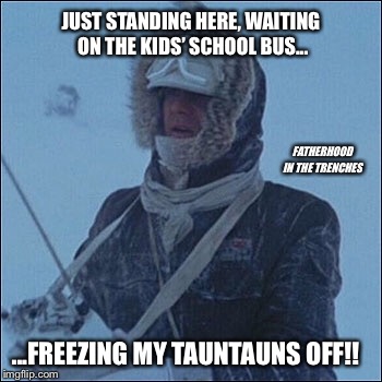 Freezing My Tauntauns Off! | JUST STANDING HERE, WAITING ON THE KIDS’ SCHOOL BUS... FATHERHOOD IN THE TRENCHES; ...FREEZING MY TAUNTAUNS OFF!! | image tagged in star wars,han solo,winter,school bus | made w/ Imgflip meme maker