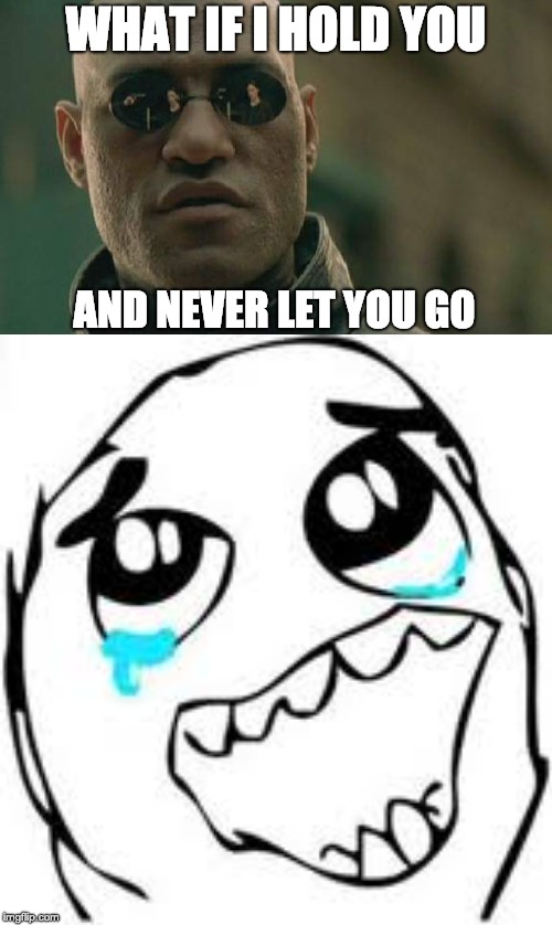 Plot Twist | WHAT IF I HOLD YOU; AND NEVER LET YOU GO | image tagged in memes,matrix morpheus,tears of joy | made w/ Imgflip meme maker