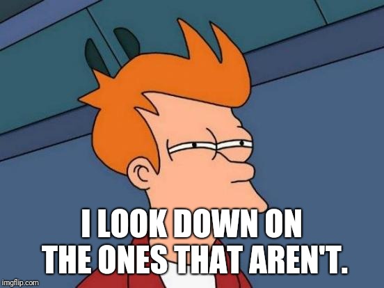 Futurama Fry Meme | I LOOK DOWN ON THE ONES THAT AREN'T. | image tagged in memes,futurama fry | made w/ Imgflip meme maker