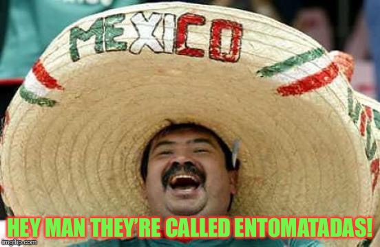 Happy Mexican | HEY MAN THEY’RE CALLED ENTOMATADAS! | image tagged in happy mexican | made w/ Imgflip meme maker