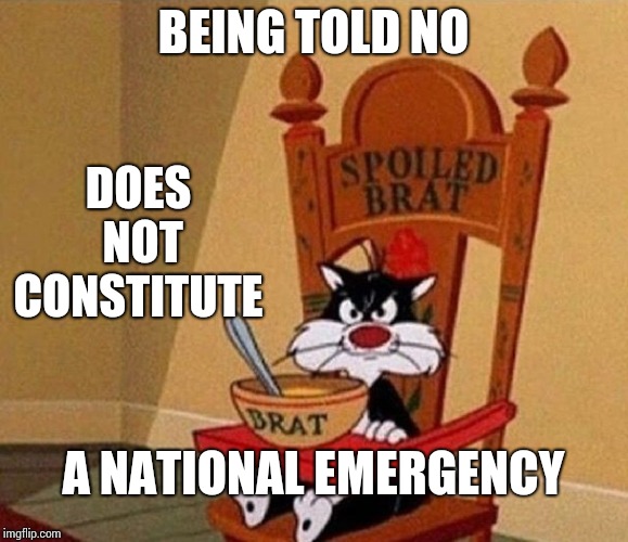 The Electoral College Gives Out Participation Awards. | DOES NOT CONSTITUTE; BEING TOLD NO; A NATIONAL EMERGENCY | image tagged in spoiled brat cat,trump unfit unqualified dangerous,lock him up,trump traitor,memes,trump lies | made w/ Imgflip meme maker