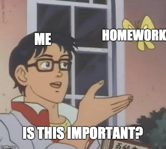 Is This A Pigeon | HOMEWORK; ME; IS THIS IMPORTANT? | image tagged in memes,is this a pigeon | made w/ Imgflip meme maker