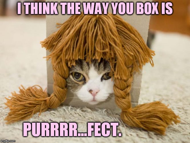 I THINK THE WAY YOU BOX IS PURRRR...FECT. | made w/ Imgflip meme maker