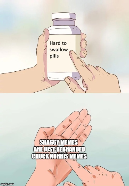 Hard To Swallow Pills | SHAGGY MEMES ARE JUST REBRANDED CHUCK NORRIS MEMES | image tagged in memes,hard to swallow pills | made w/ Imgflip meme maker