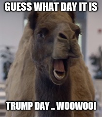 GUESS WHAT DAY IT IS; TRUMP DAY .. WOOWOO! | image tagged in funny memes | made w/ Imgflip meme maker
