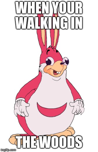 WHEN YOUR WALKING IN; THE WOODS | image tagged in big chungus | made w/ Imgflip meme maker