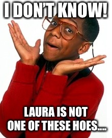 Urkel Did I do that? | I DON’T KNOW! LAURA IS NOT ONE OF THESE HOES.... | image tagged in urkel did i do that | made w/ Imgflip meme maker
