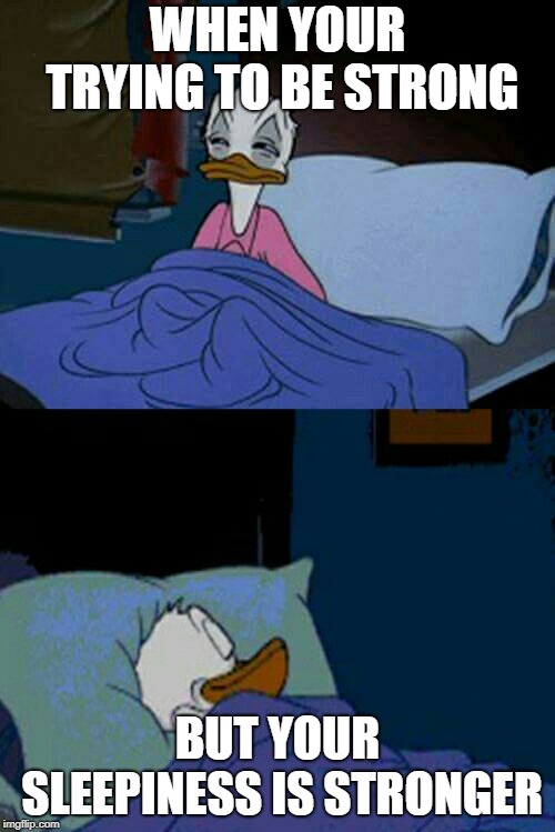 sleepy donald duck in bed | WHEN YOUR TRYING TO BE STRONG; BUT YOUR SLEEPINESS IS STRONGER | image tagged in sleepy donald duck in bed | made w/ Imgflip meme maker