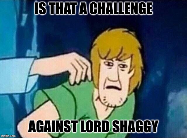 Scooby Doo Shaggy  | IS THAT A CHALLENGE AGAINST LORD SHAGGY | image tagged in scooby doo shaggy | made w/ Imgflip meme maker
