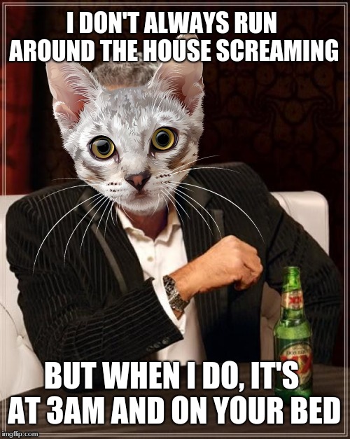 I DON'T ALWAYS RUN AROUND THE HOUSE SCREAMING; BUT WHEN I DO, IT'S AT 3AM AND ON YOUR BED | image tagged in the most interesting man in the world,memes | made w/ Imgflip meme maker