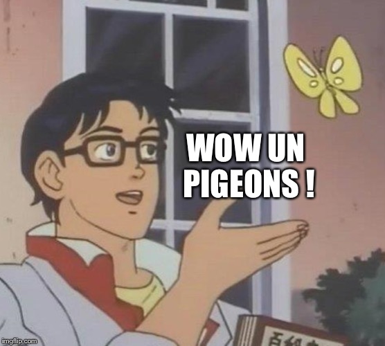 Is This A Pigeon | WOW UN PIGEONS ! | image tagged in memes,is this a pigeon | made w/ Imgflip meme maker