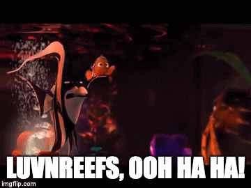 LUVNREEFS, OOH HA HA! | image tagged in gifs | made w/ Imgflip video-to-gif maker